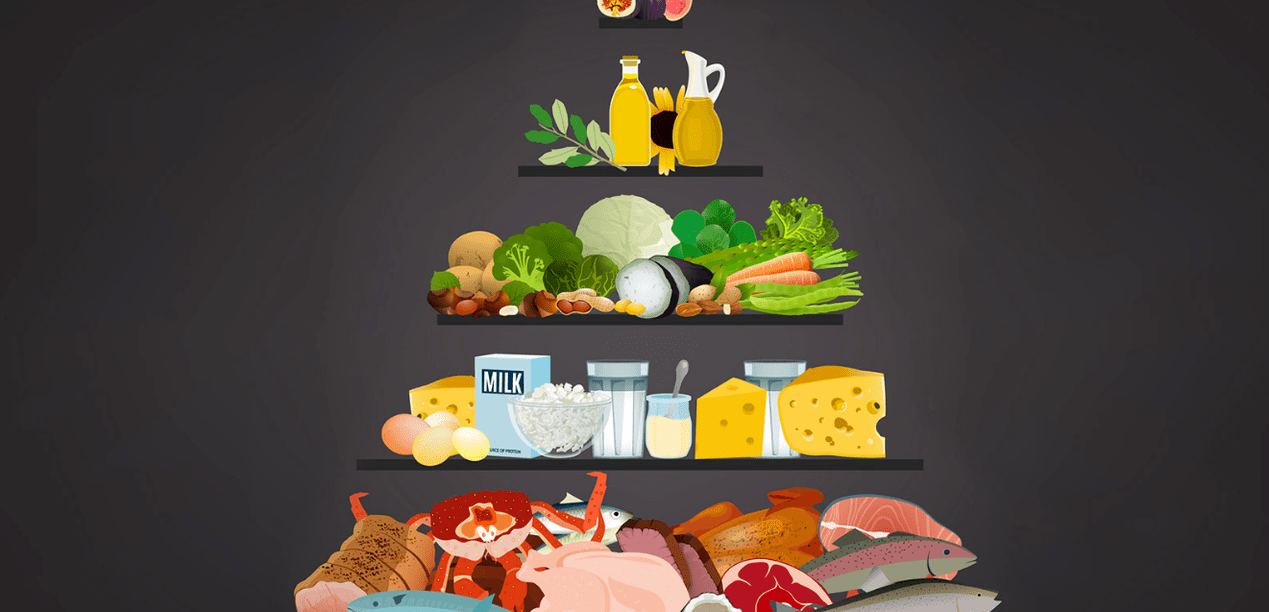 Dijeta proteina