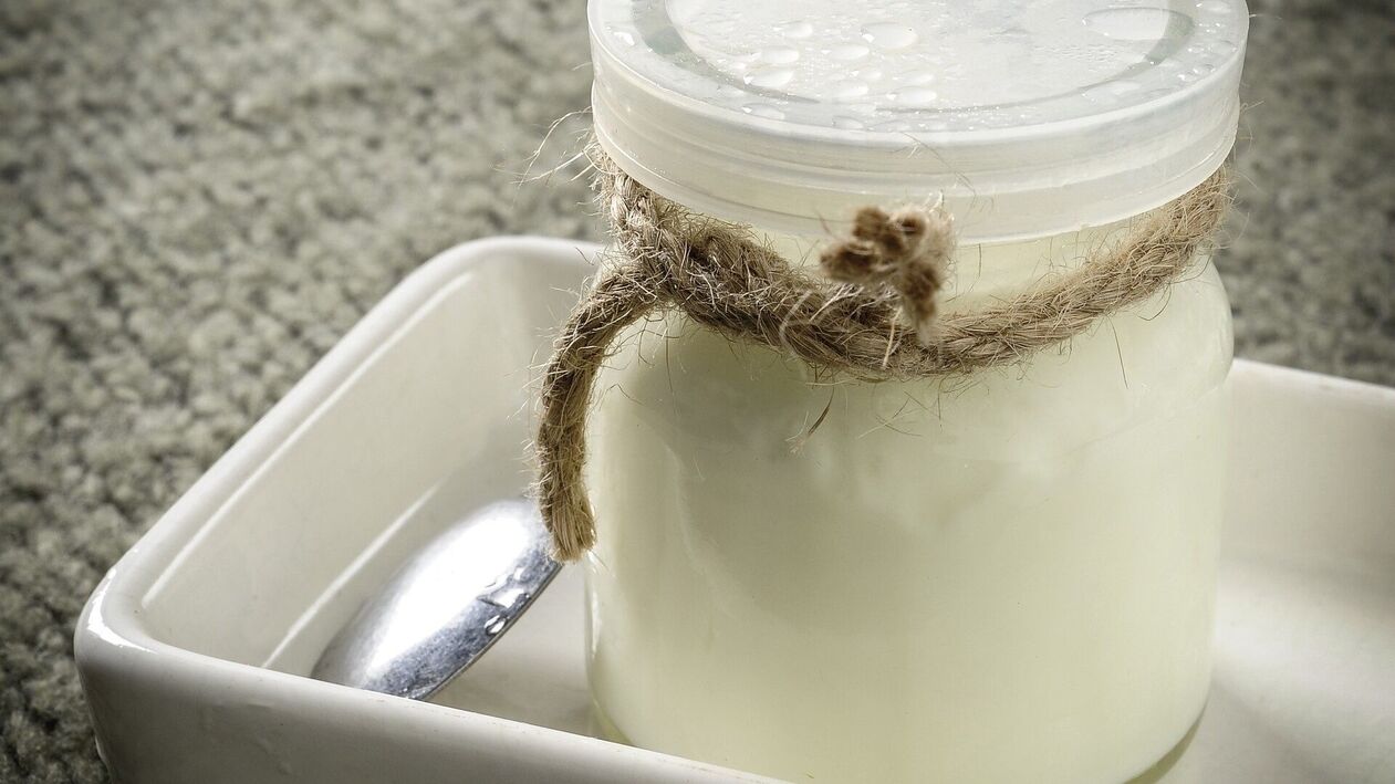 fermentirani mliječni proizvodi peti dan